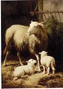 unknow artist Sheep 057 oil painting on canvas
